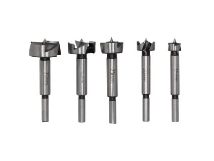 Sada Forstnerových vrtákov a fréz na drevo DEDRA 0781, 5 ks