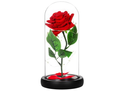 HA5156 VEČNÁ RŮŽA V SKLE