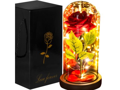 HA5156 VEČNÁ RŮŽA V SKLE