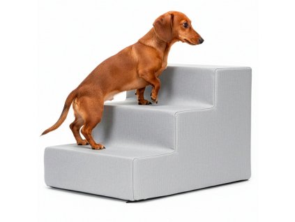 PA0338 PSIE SCHODY 45 X 30 X 30 CM