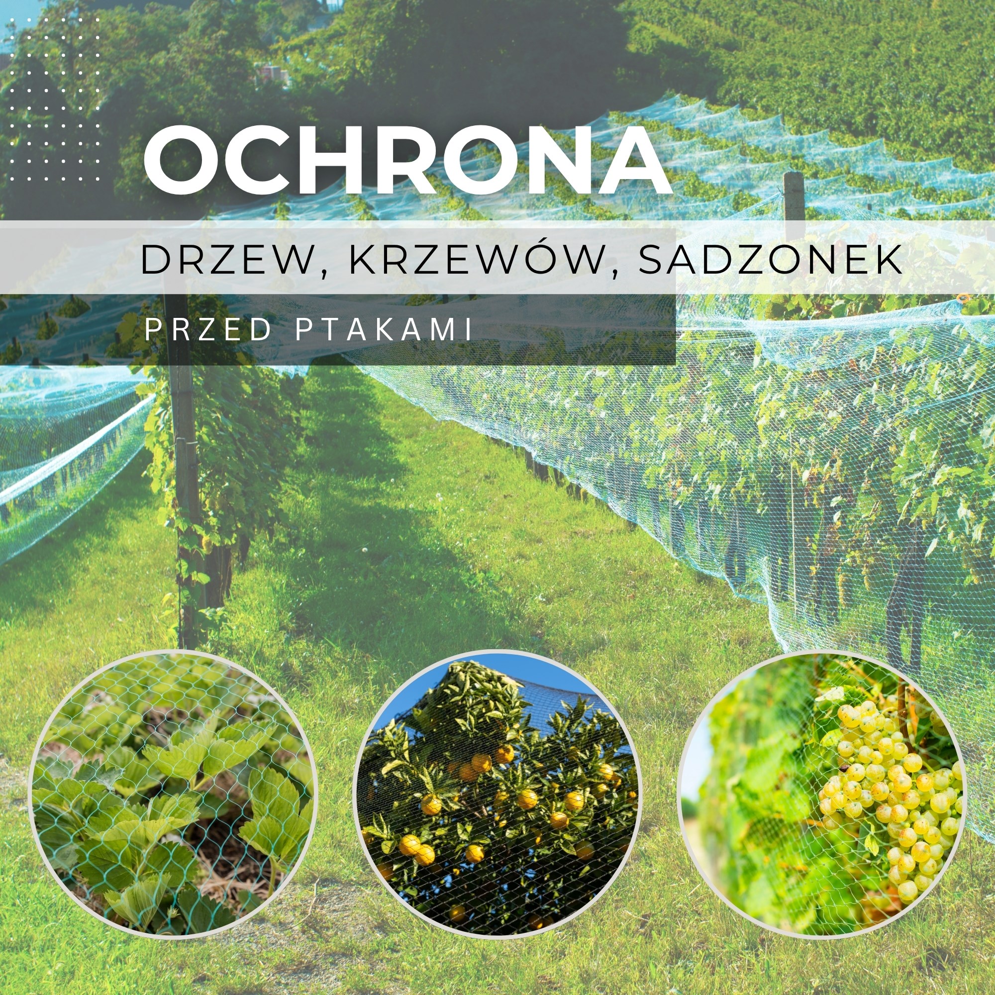 Springos AB0005 SIEŤ PROTI VTÁKOM 8X14 M 14 KOTIEV