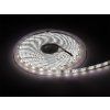 LED pásik studená biela 70-731-