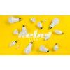 LED žiarovka GU10 7 W 4000 K L-ZAR0532