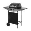 Teesa BBQ 2000 plynový gril 2 horáky L-TSA0080