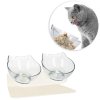 Miska pre mačky dvojitá sklenená PA0191
