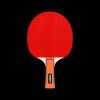 Set na stolný tenis so sieťkou a loptičkami L-RBA-4001