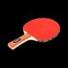 Set na stolný tenis so sieťkou a loptičkami L-RBA-4001