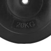 Kotúč na činky 20 KG 31 MM FA1500