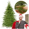 Vianočný stromček 180cm CT0177