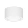 Stropné LED svietidlo O-OR-OD-6161WL4