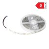 RGBW LED pásik 5m, Samsung 5050, IP65, 330lm/m