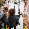 Halloweenska pavučina s pavúkmi 60 g S-HA5228