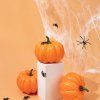 Halloweenska pavučina s pavúkmi 20 g S-HA5229