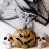 Halloweenska pavučina s pavúkmi 20 g S-HA5229