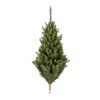 Royal trees sibirsky smrek 180 cm S-CT0260