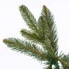 Royal trees sibirsky smrek 180 cm S-CT0260