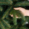 Royal trees sibirsky smrek 180 cm S-CT0260