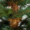 Royal trees sibirsky smrek 180 cm S-CT0260