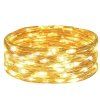 Mikro LED reťaz na batérie, 3 m S-CL4102