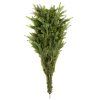 Umelý vianočný stromček smrek 240 cm S-CT0207
