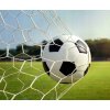 FUTBALOVÁ BRÁNKA SO SIEŤOU 300 x 200 x 90 CM *7543