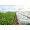 Biela agrotextilia, 5 m CH-AGO2067