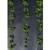 AGROTEXTÍL PROTI BURINÁM UV OCHRANNÝ ČIERNY 1,6 x 50 M 135 g/m2 *6438