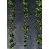 AGROTEXTÍL PROTI BURINÁM UV OCHRANNÝ ČIERNY 1,6 x 50 M 135 g/m2 *6438