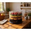 5-ÚROVŇOVÁ SUŠIČKA NA POTRAVINY 250W PRIEMER 32 CM S MECHANIZMOM *2714