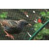 ZÁHRADNÁ SIEŤ PRE POPÍNAVÉ RASTLINY 1,8 x 3,6 M bal=6ks *9355