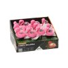 SOLÁRNA LAMPA FUNNY FLAMINGO 10,5 x 5 x 17,5 CM TEPLÁ BIELA 1KS