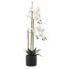 UMELÁ KVETINA - BIELA ORCHIDEA 77 CM