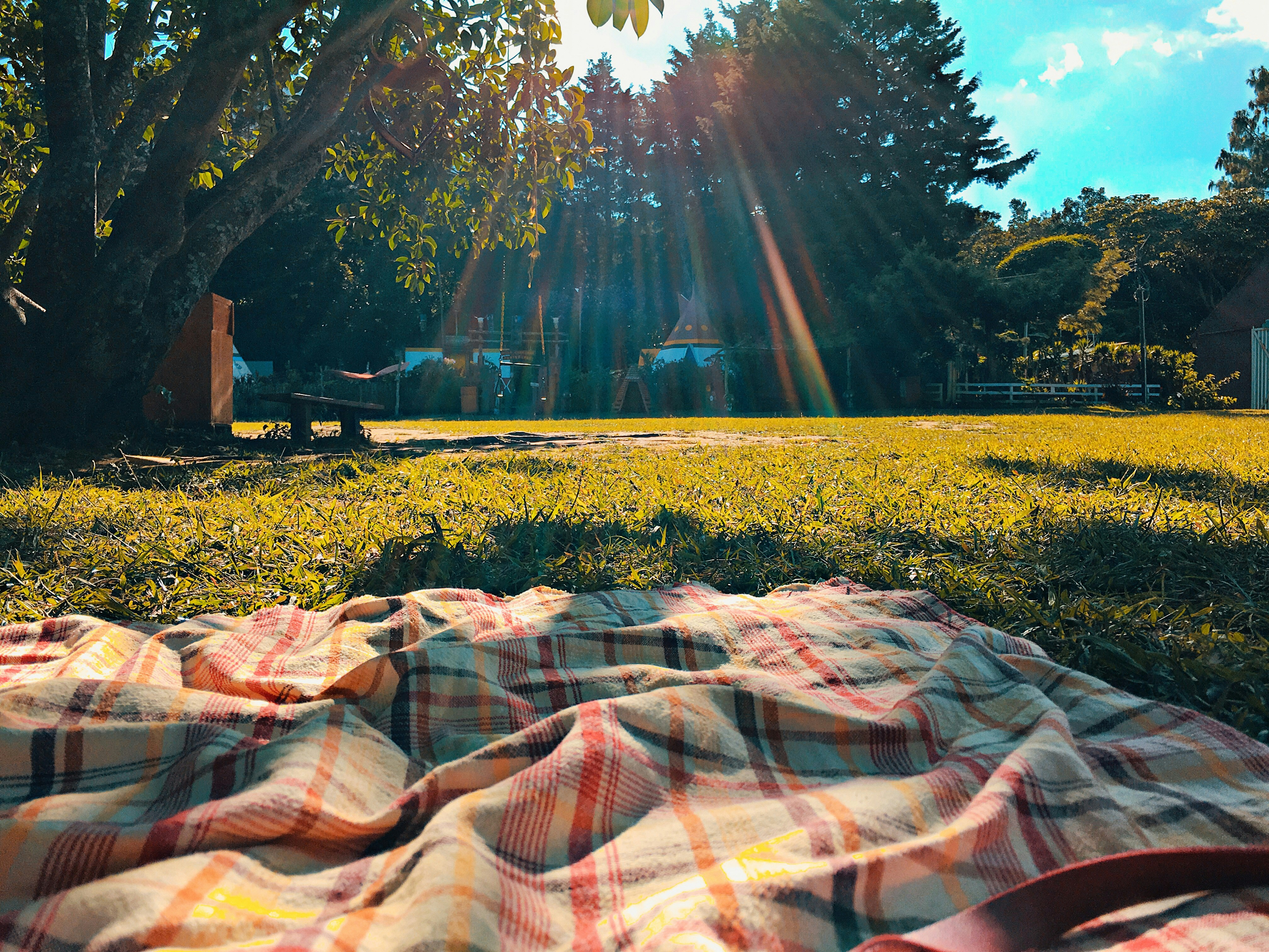 kam vyrazit na piknik? Pack&Care