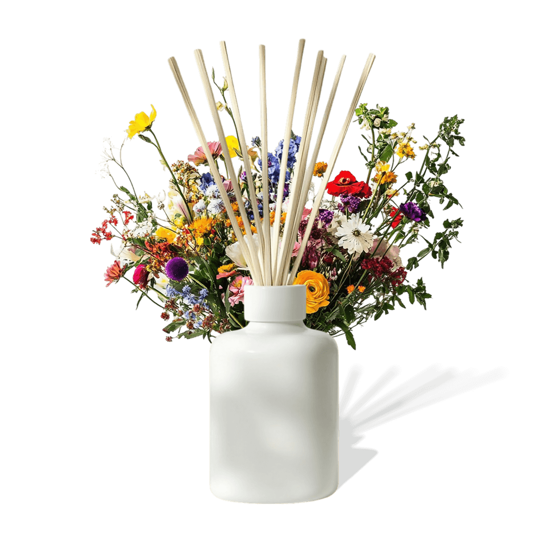 Osvěžovač vzduchu a aroma marketing: Tajná zbraň moderního podnikání