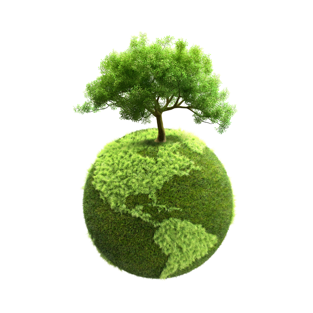 Ekologická domácnost: 10 změn, které okamžitě sníží vaši uhlíkovou stopu