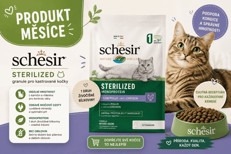 Produkt měsíce