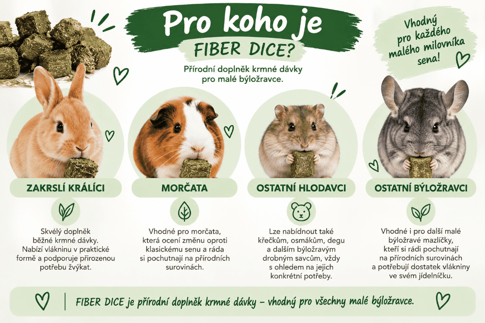 Pro_koho_je_Fiber_Dice