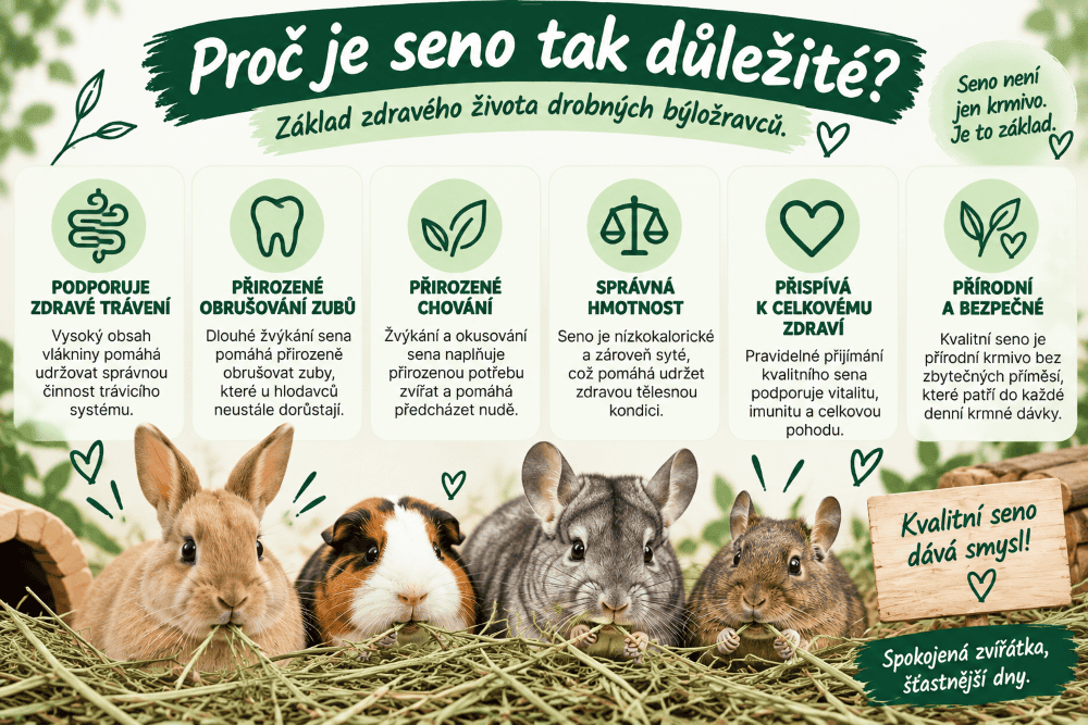 Proc_je_seno_zakladem_zdravi_zviratek
