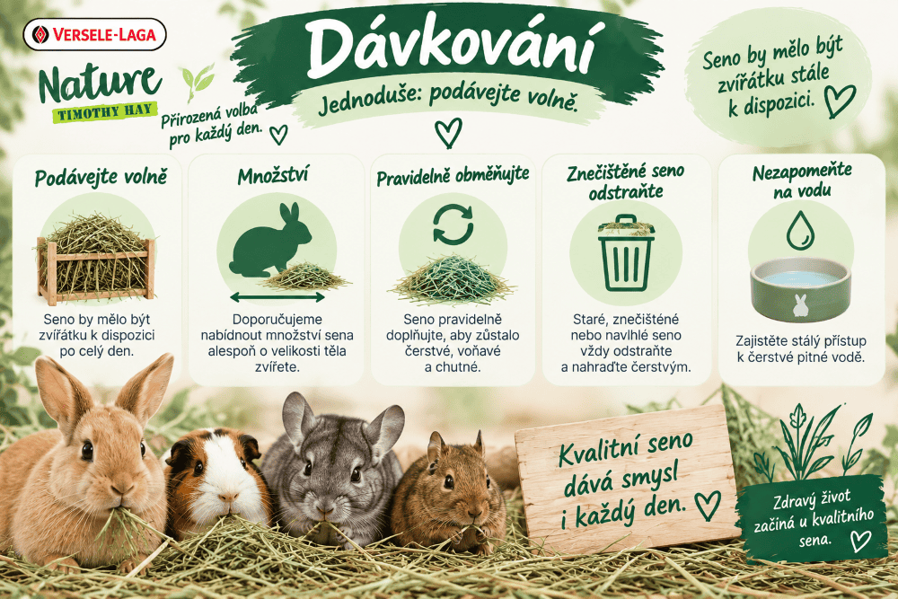 Versele_Laga_Timothy_Hay_Davkovani