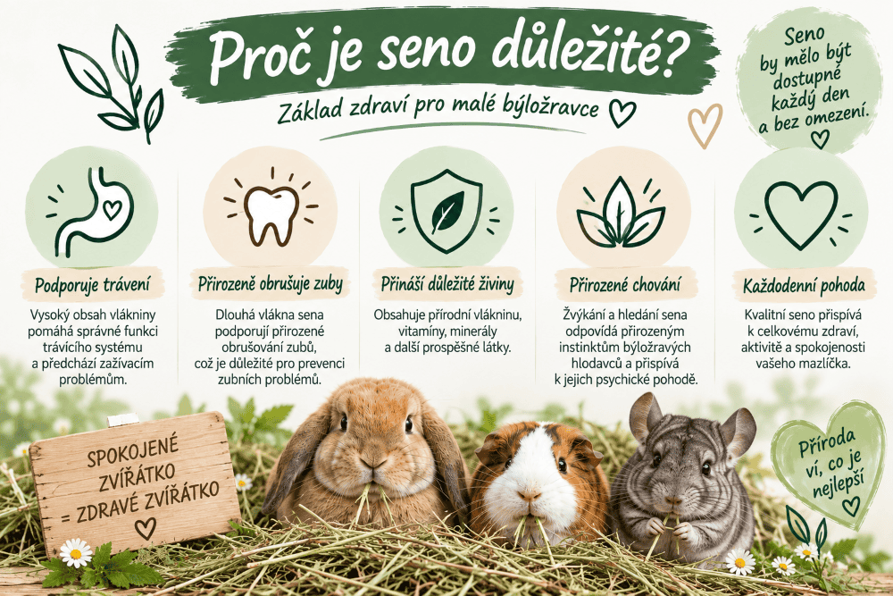 Proc_je_seno_dulezite