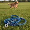 paracord vodítko černo modré reflexní pes na louce