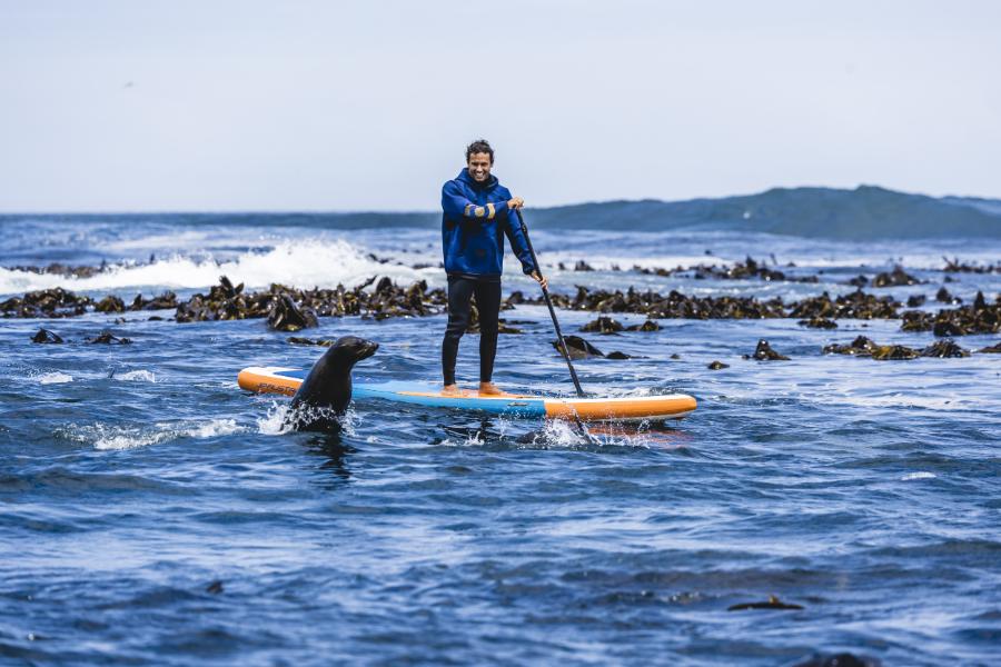 Allround univerzální paddleboard na moři