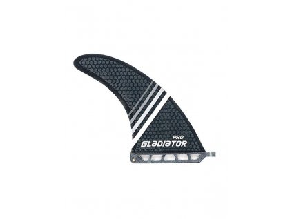 Fina GLADIATOR Pro Glass 8'' PADDLEBOARDY.CZ WINDSURFINGKARLIN.CZ