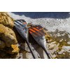 Paddles RRD SUP Avant Dynamic 7 Y25 www.paddleboardy.cz kopie kopie