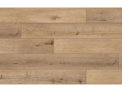 AREAFLOORS AUTHENTIC 505 PL