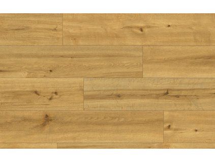 Classen Ceramin 62538 Pro Nature Soledad