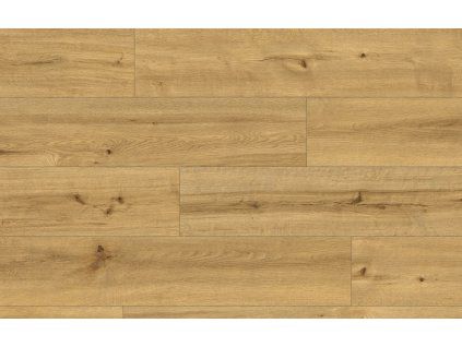 Classen Ceramin 62541 Pro Nature Soacha
