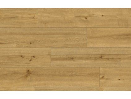 Classen Ceramin 62543 Pro Nature Caldas