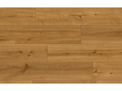 Classen Ceramin 62544 Pro Nature Andes