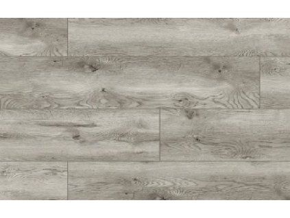 49771 Arteo Classen Dub Silverstone WR